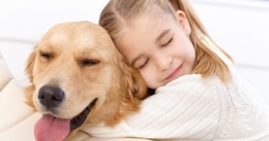 embrace pet insurance reviews